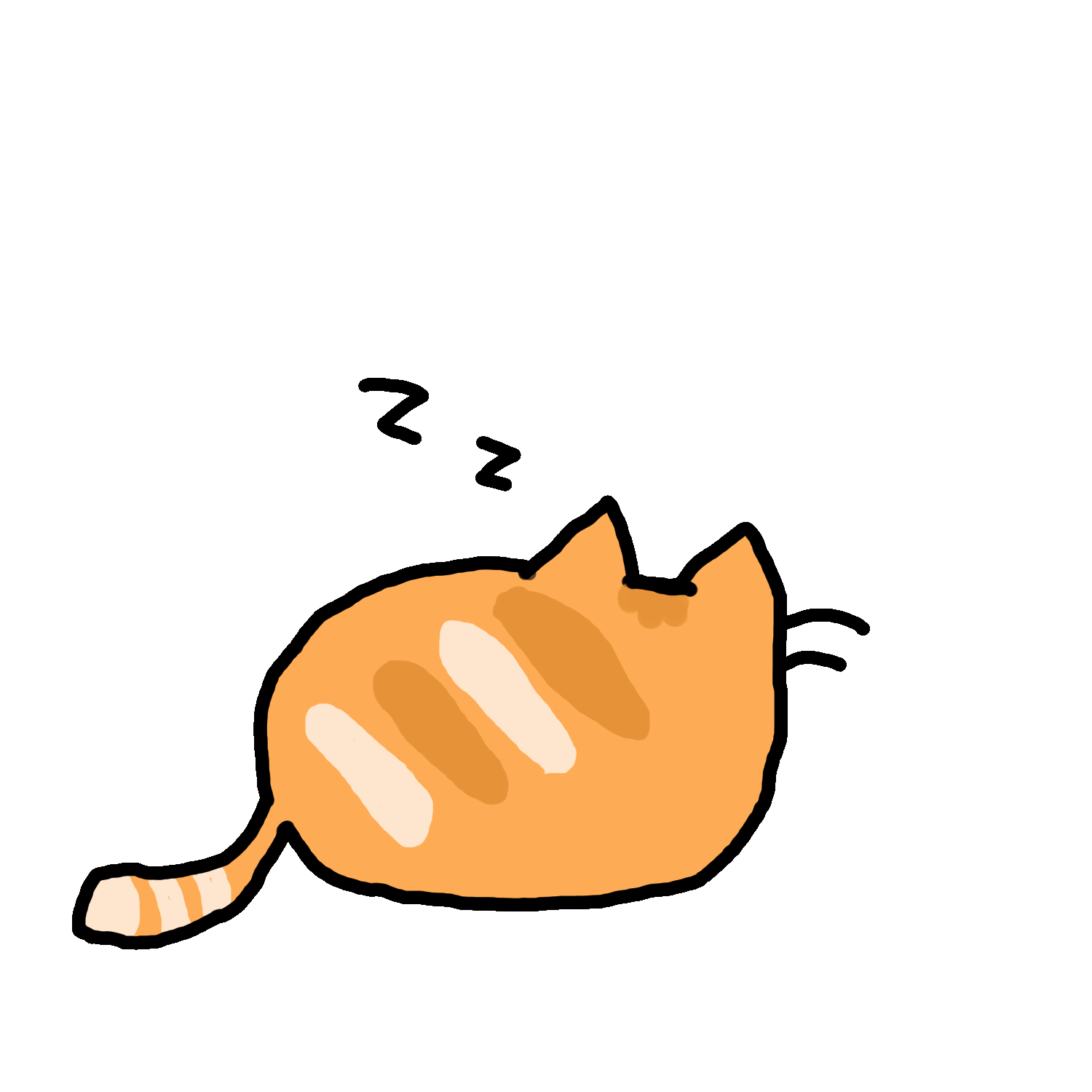 cat sleeping