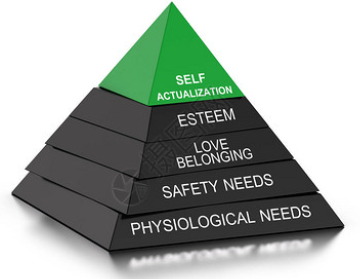 自我价值（一）：恋爱脑与科研狗